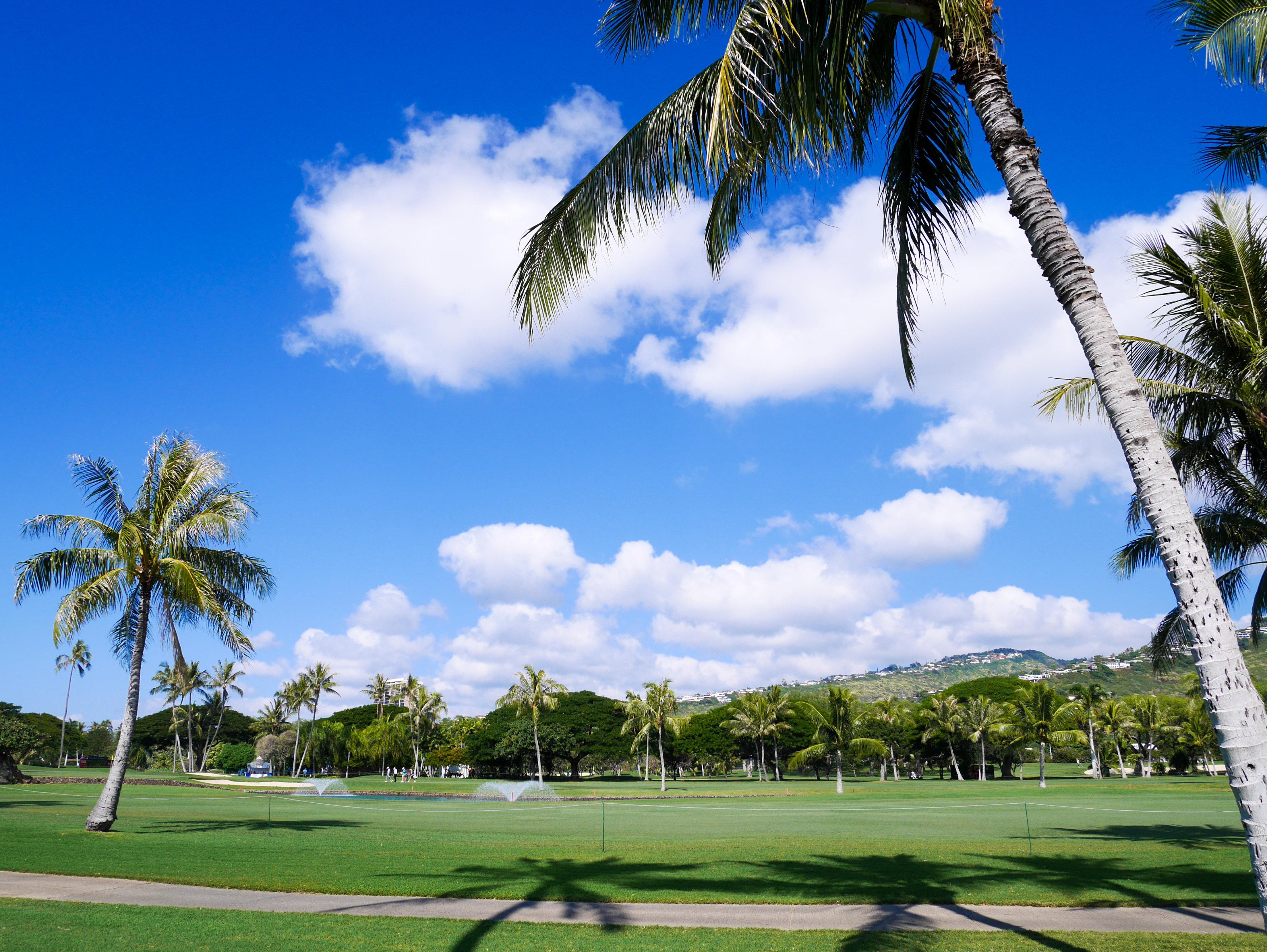 Holiday Inn Express Waikiki, An Ihg Hotel Honolulu Zewnętrze zdjęcie